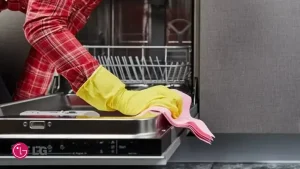 جرم گیری ماشین ظرفشویی ال جی: نحوه رسوب زدایی و تمیز کردن فیلتر و دیگ